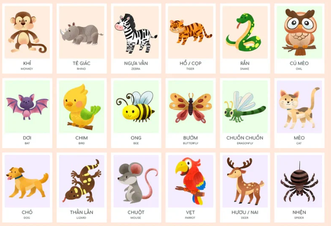 Tarjetas de vocabulario vietnamita