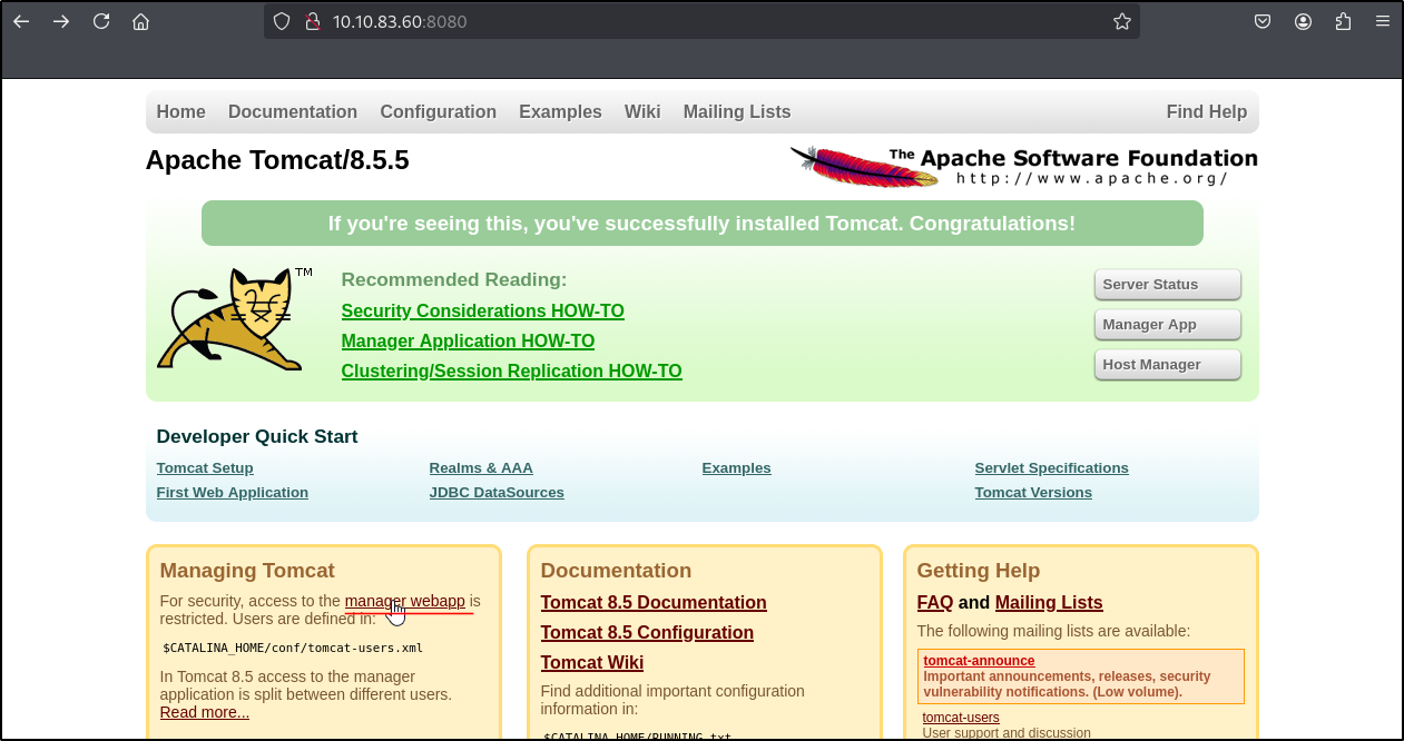 Manager Webapp