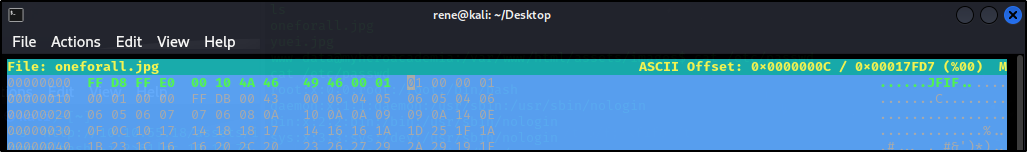 Changed Bytes